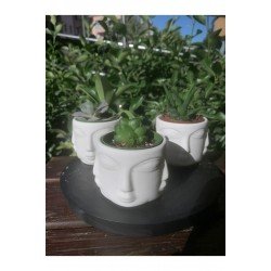 Seramik Bazlı Yüzler Figürlü 3'lü Küçük Adler Saksı