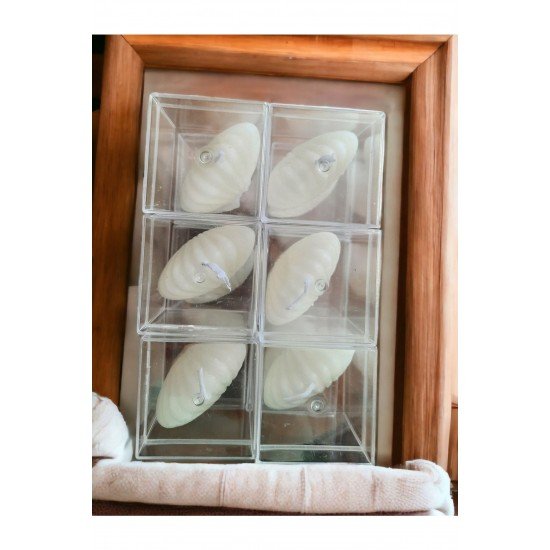 12 Adet Mika Kutu Içinde Mini Istiridye Mum Seti