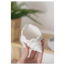 Deniz Kabugu Obje Ham Beyaz 2 Adet