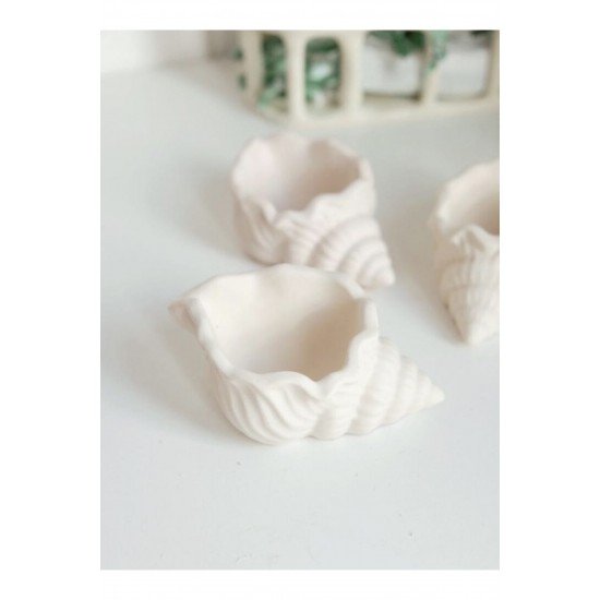 Deniz Kabugu Obje Ham Beyaz 2 Adet